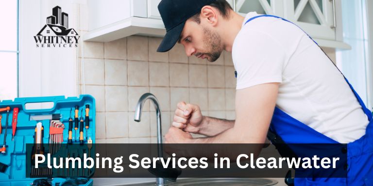 Whitney Plumbing Services In Clearwater