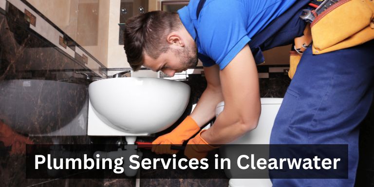 Whitney Plumbing Services In Clearwater, Fl