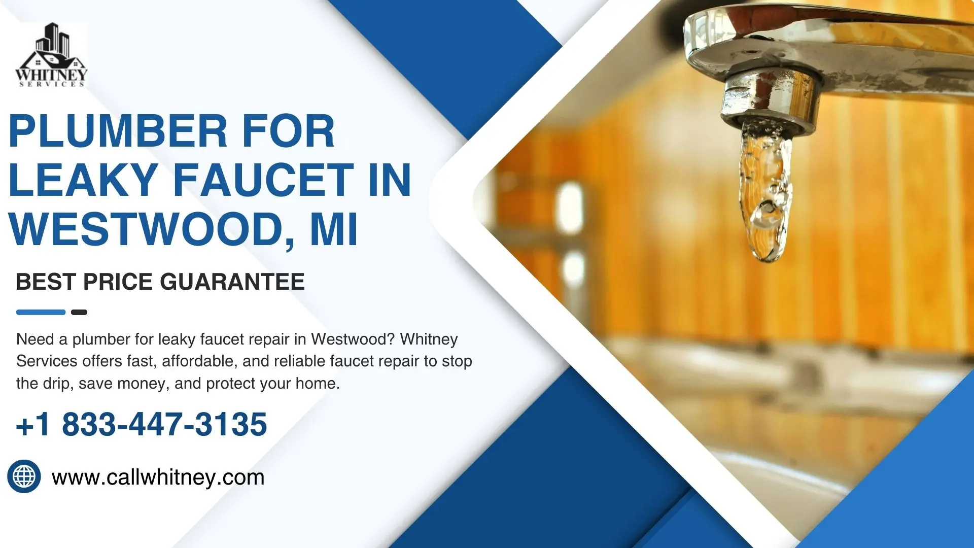 Plumber For Leaky Faucet