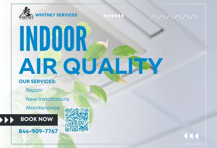 Indoor Air Quality In Miami Lakes