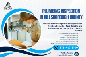 Plumbing Inspection In Hillsborough County