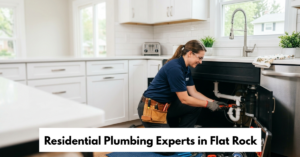Residential Plumbing Experts In Flat Rock