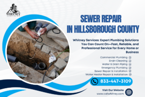 Sewer Repair In Hillsborough County