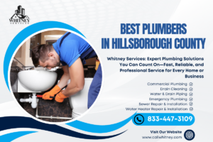Best Plumbers In Hillsborough County