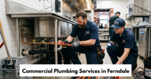 Commercial Plumbing Services In Ferndale