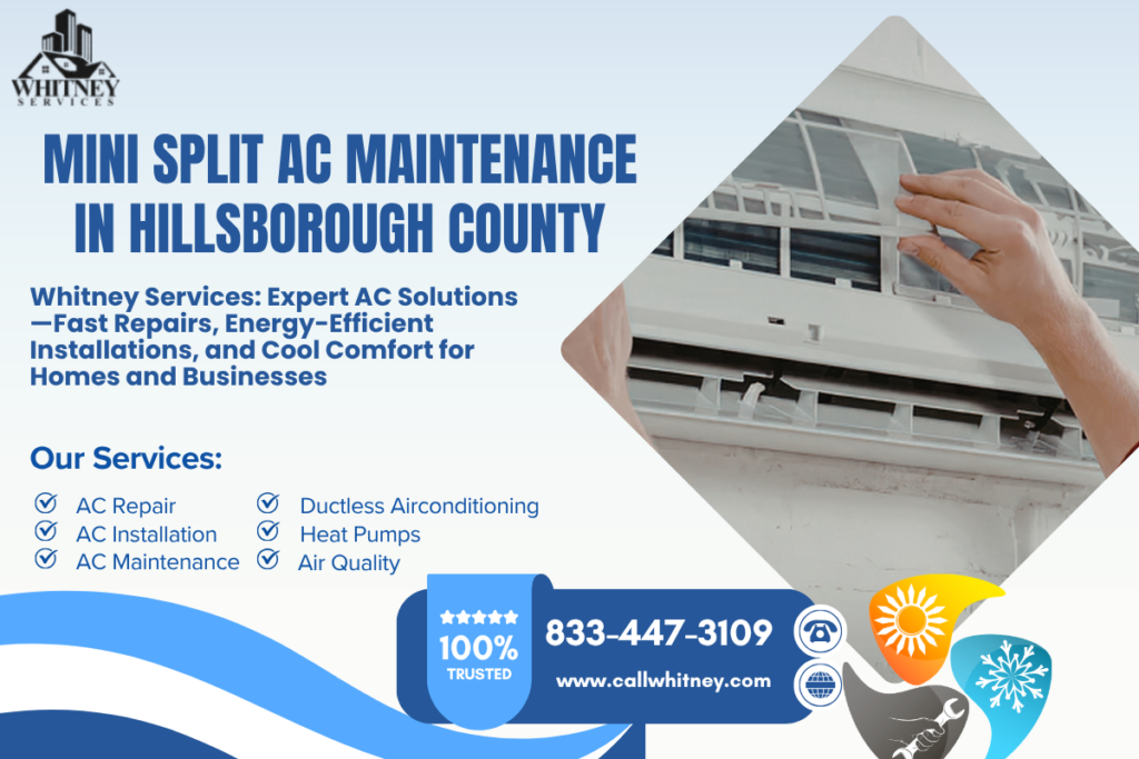 Mini Split Ac Maintenance In Hillsborough County