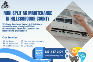Mini Split Ac Maintenance In Hillsborough County