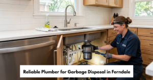 Reliable Plumber For Garbage Disposal In Ferndale