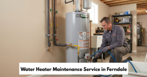 Water Heater Maintenance Service In Ferndale