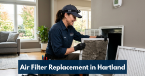Air Filter Replacement In Hartland