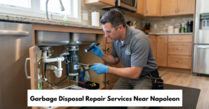 Garbage Disposal Repair Services Near Napoleon