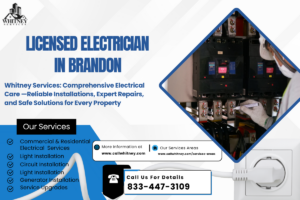 Licensed Electrician In Brandon