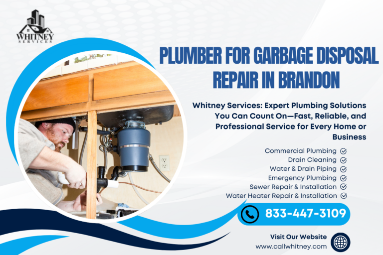 Plumber For Garbage Disposal Repair In Brandon