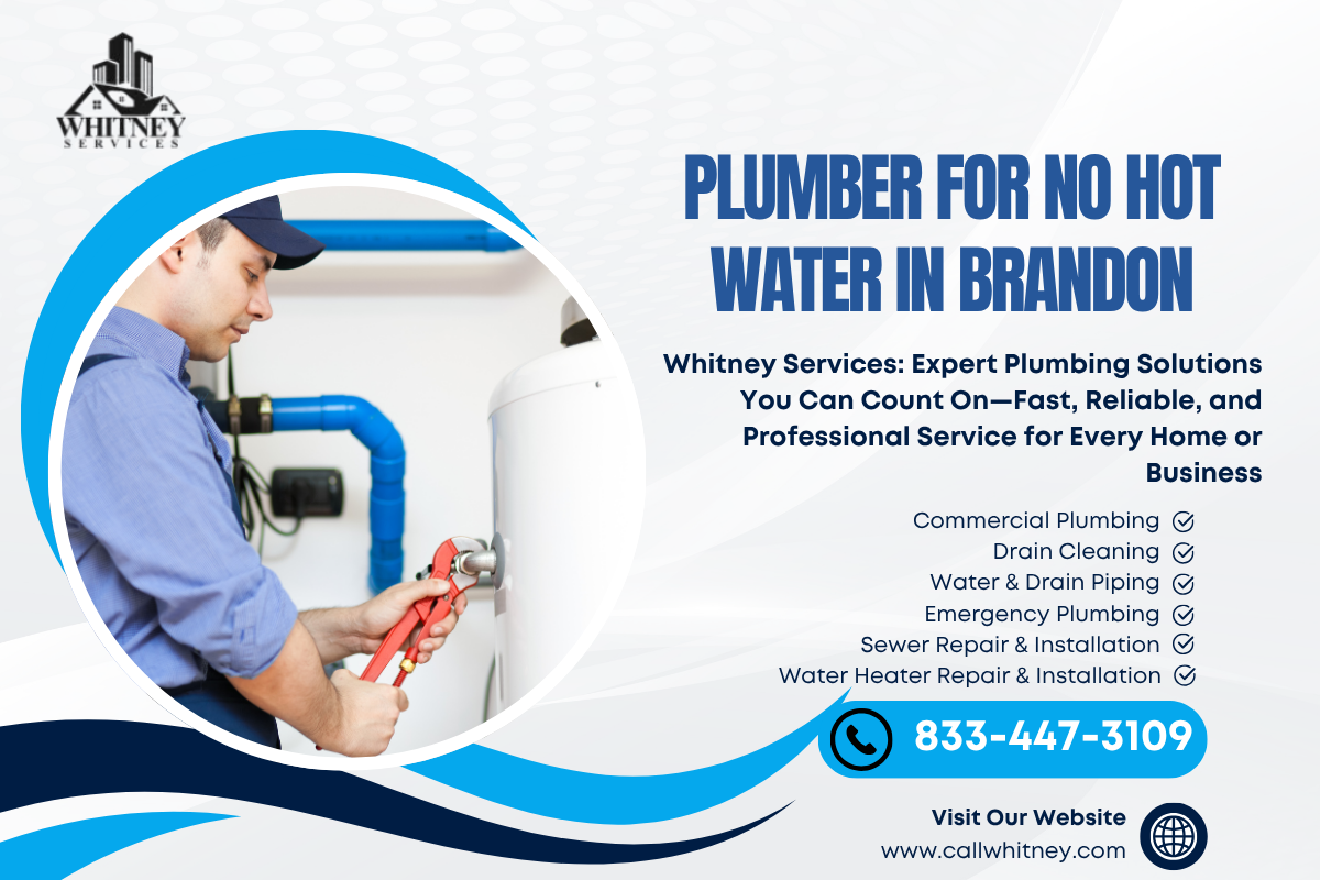 Plumber For No Hot Water In Brandon