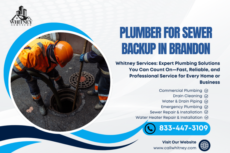 Plumber For Sewer Backup In Brandon