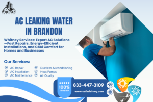 Ac Leaking Water In Brandon