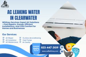 Ac Leaking Water In Clearwater