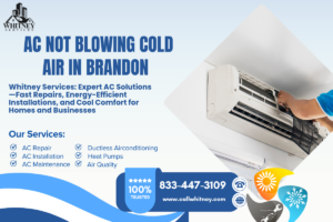 Ac Not Blowing Cold Air In Brandon