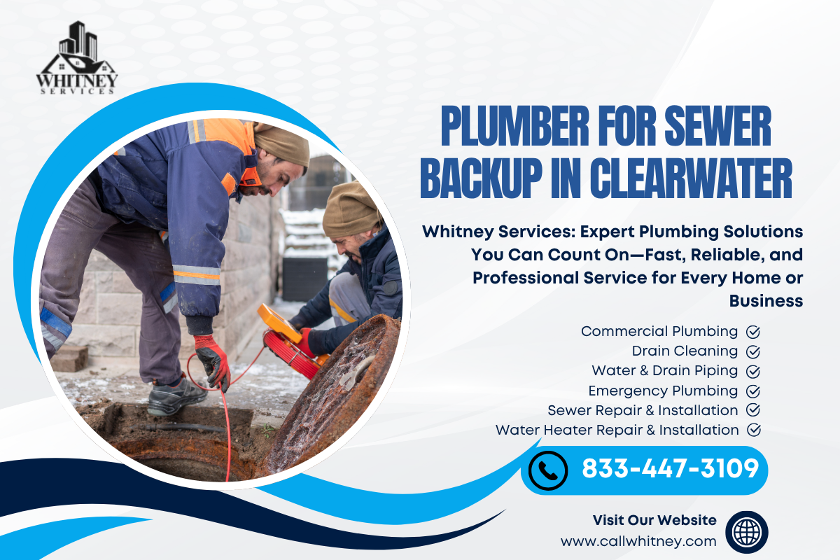 Plumber For Sewer Backup In Clearwater