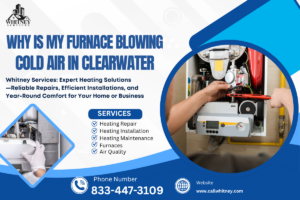 Why Is My Furnace Blowing Cold Air In Clearwater