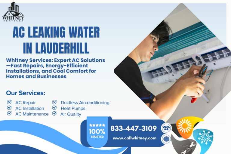 Ac Leaking Water In Lauderhill