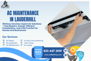 Ac Maintenance In Lauderhill