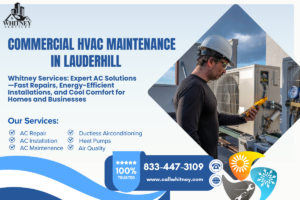 Commercial Hvac Maintenance In Lauderhill