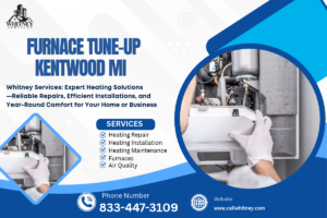 Furnace Tune-Up Kentwood Mi